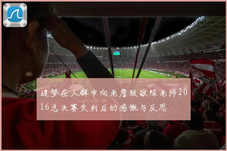 追梦在人群中向老詹致敬绿老师2016总决赛失利后的感慨与反思